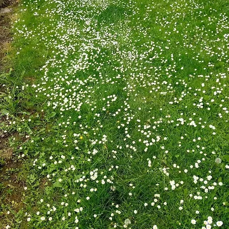 Apartment Gomirje Vrbovsko