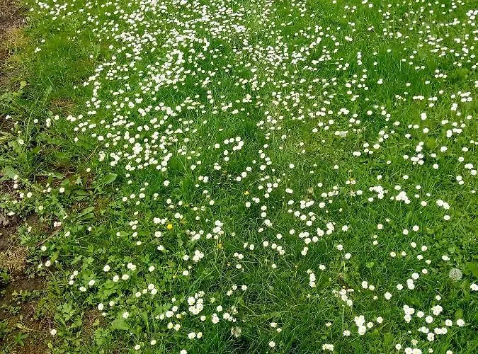 Appartement Gomirje Vrbovsko