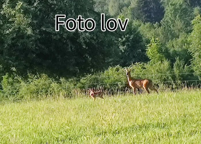 Gomirje Lägenhet Vrbovsko