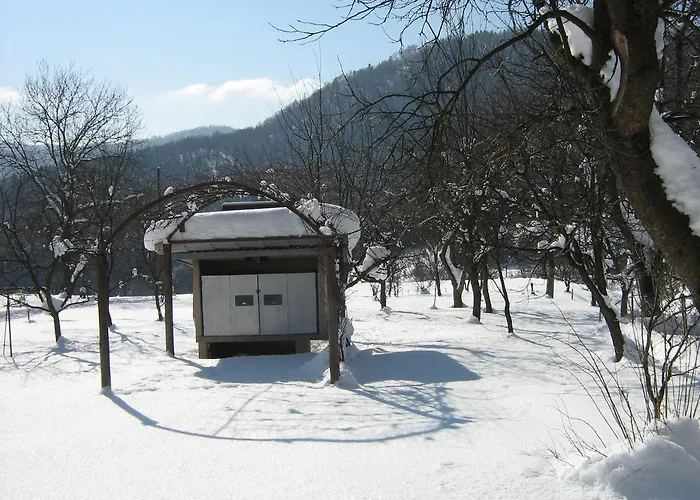 Gomirje