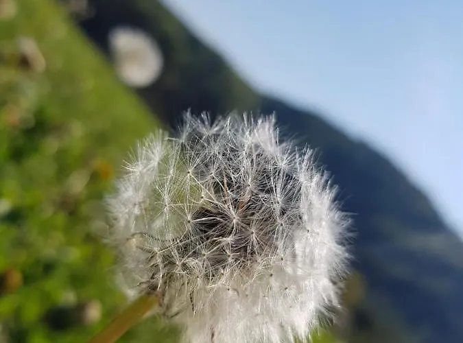 Lägenhet Gomirje Vrbovsko