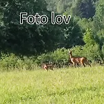 Gomirje Apartamento Vrbovsko