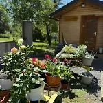 Gomirje Apartamento *