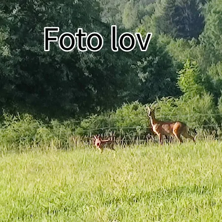 Gomirje Lägenhet Vrbovsko