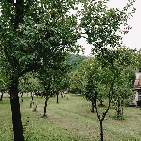 Gomirje Vrbovsko