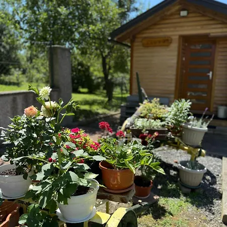 Gomirje Lägenhet *