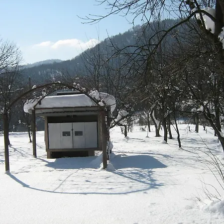 Gomirje