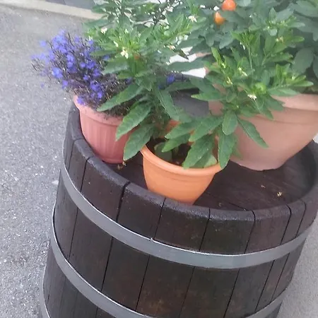 Apartman Gomirje *