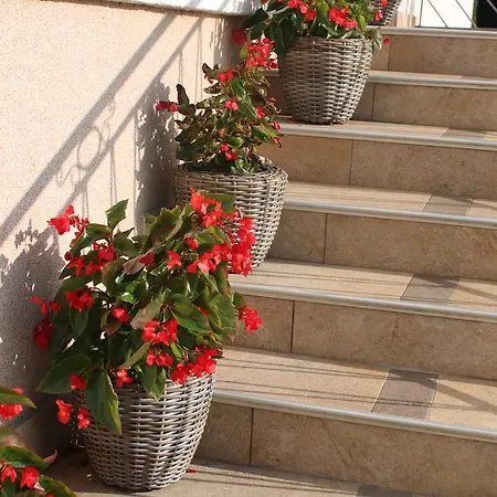 Apartman Gomirje *