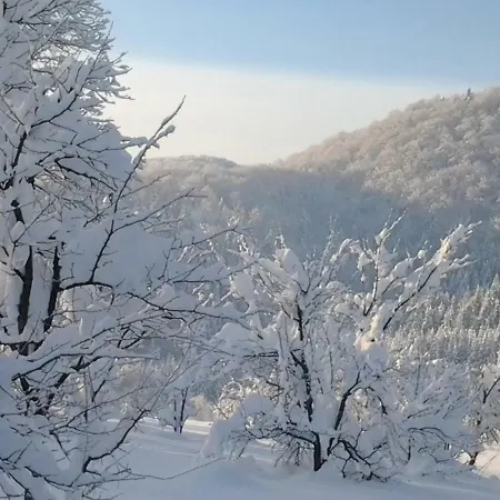Gomirje Apartman Vrbovsko