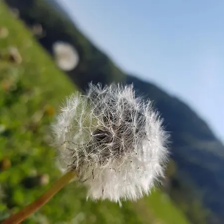Διαμέρισμα Gomirje Vrbovsko